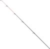 Spicc 3 Carp Expert Starfish Feeder Bot