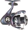Daiwa 24 Regal LT 1000D-XH