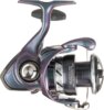 Daiwa 24 Regal LT 2000D-XH