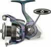 Daiwa 24 Regal LT 2500D-XH