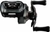 DAIWA 24 STEEZ SV TW 100XHL