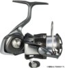 DAIWA 24 LUVIAS LT5000D-C