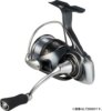 DAIWA 24 LUVIAS LT5000D-C