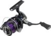Daiwa 24 Prorex X LT 2000