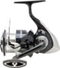 Daiwa 24 N'Zon Plus LT 6000SS-P 5BB, 150/0.28