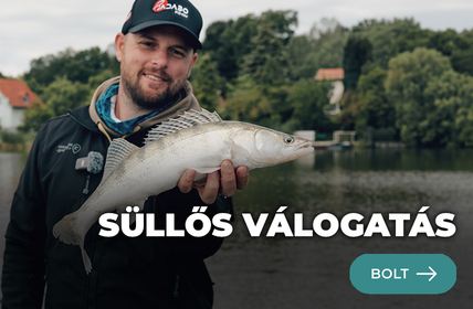 Süllő