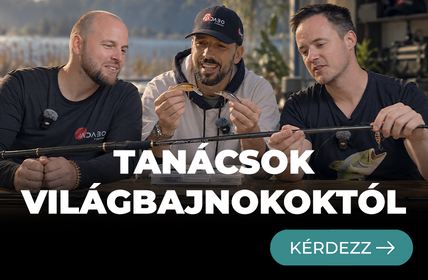 Tanácsadás