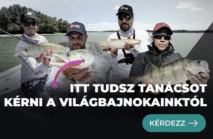 Tanácsadás