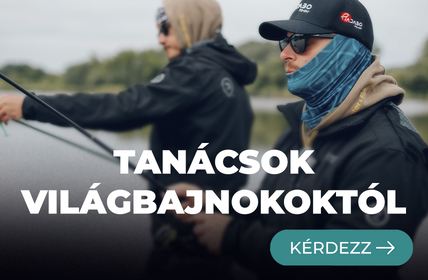 Tanácsadás
