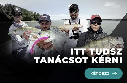 Tanácsadás