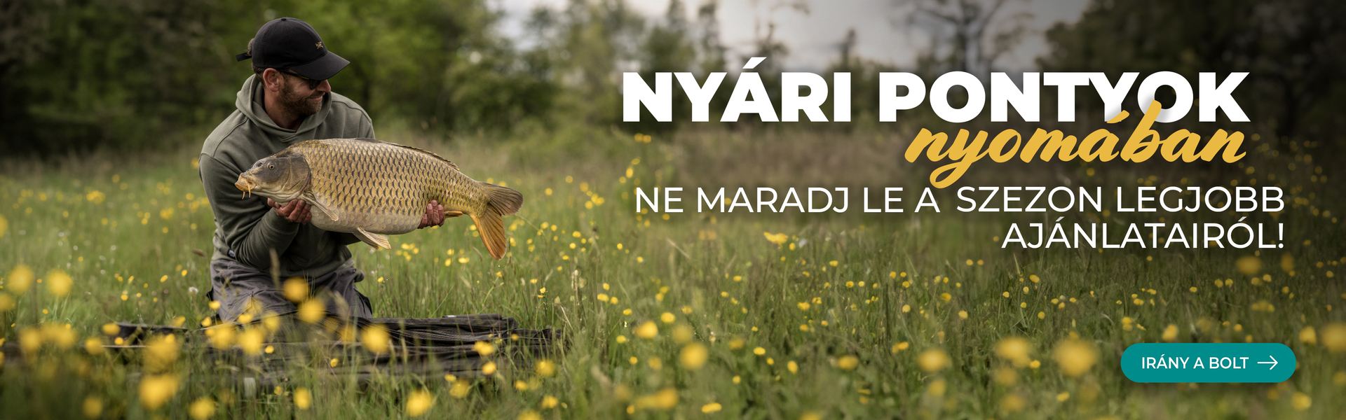 Nyári pontyok